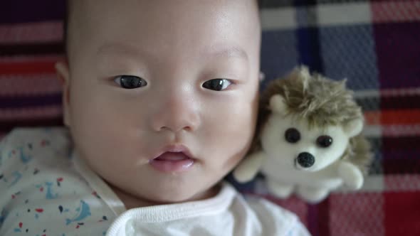 Top down view cute baby with a hedgehog plush toy