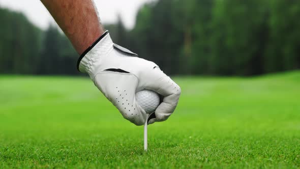 Male hand in a golf glove puts the ball on the field
