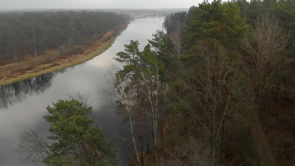 Aerial View of a Forest Area on the Coast of a Winding River with Reflecting Clouds