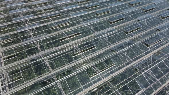 Greenhouse for growing vegetables