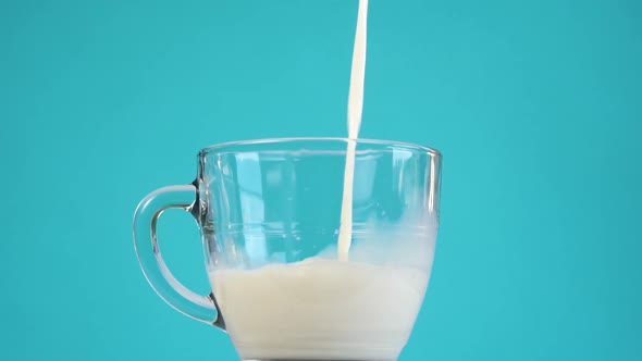 Pouring fresh milk into a glass cup on a bright blue background