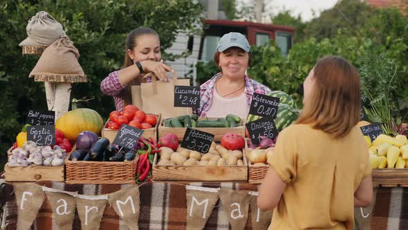 Woman Customer Buying Organic Groceries at Farmers Market