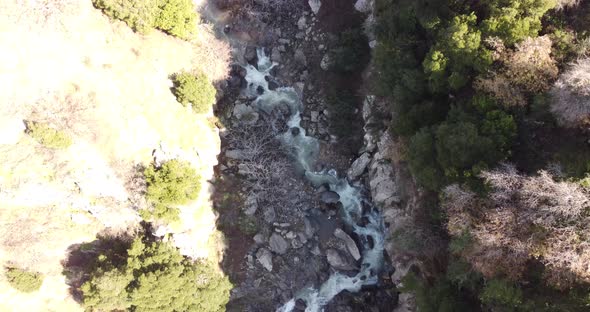 Aerial view of Sa'ar river in the forest, Golan Heights, Israel.