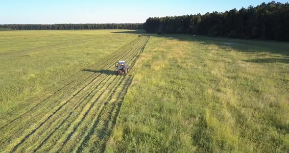 Machine with Rotary Cutters Mows Grass on Ground Under Sky