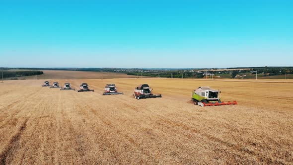 Wheat Is Getting Harvested By the Combine Machines