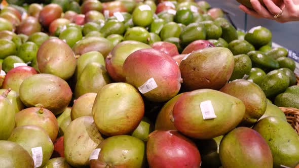 Fresh Mango is Sold at the Fruit Market