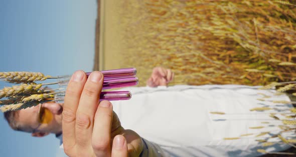 Vertical Video of an Agricultural Engineer in the Field Shows Ripe Ears in Test Tubes in Front of