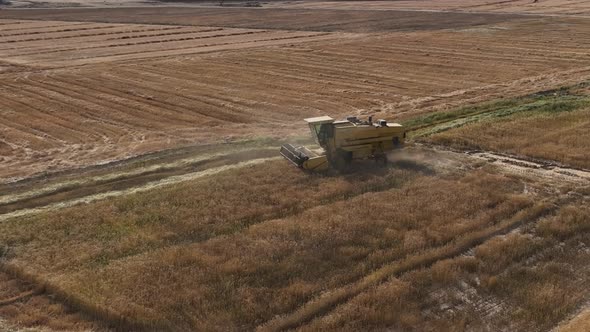 Static view of Wheat harvesting