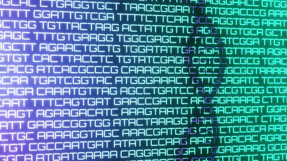 Shadow Of DNA Helix On Text Of ATCG Bases Sequence