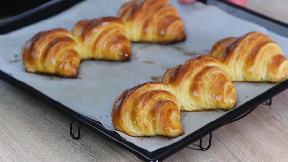 Fresh baked croissants on baking sheet