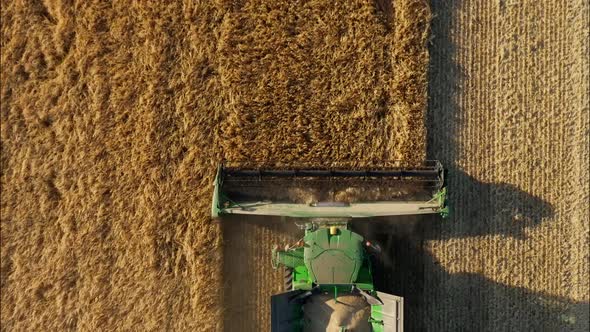 Combine Harvesting Wheat Top View of a Wheatfield