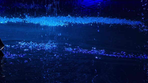 Bamboo Sword of Japanese Kendo Fighter Lies on the Surface of the Water Illuminated By Blue Light