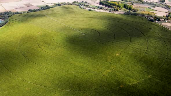 Aerial view of agricultural field