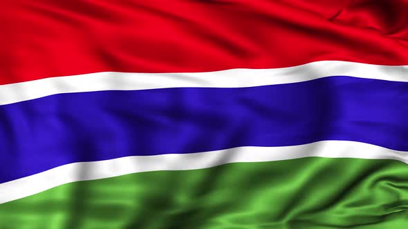 The Gambia Flag