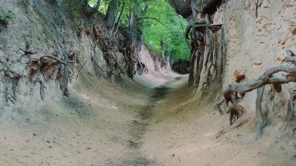 Loess Ravine in Kazimierz Dolny Poland