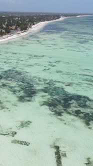 Vertical Video of the Ocean Near the Coast of Zanzibar Tanzania