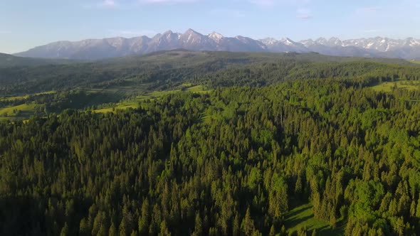 Drone Flying Over Valley with Spruce Tree Forest and Wilderness into Tatra Mountains