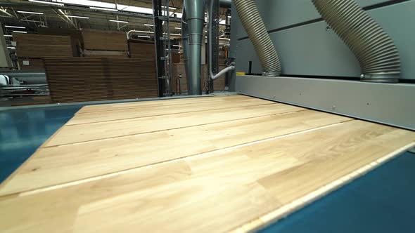 Modern Parquet Grinding Technology at a Woodworking Factory