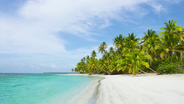 Summer Vacations At Palm Beach. Crystal Clear Caribbean Sea Beach