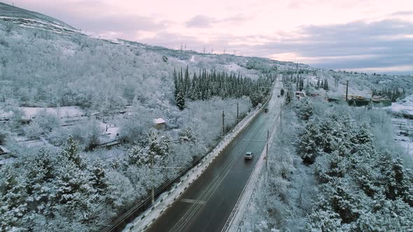 Winter Forest With A Moving Vehicle