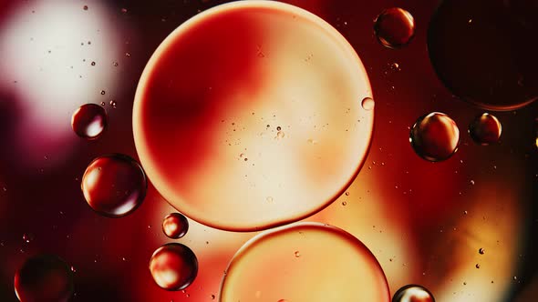 Abstract Colorful Food Oil Drops Bubbles 08