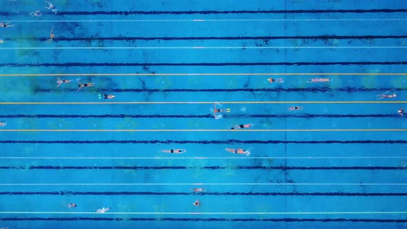 Aerial View of Group of Swimmers Training in Open Swimming Pool