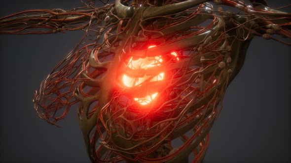 CG Animation Of A Sick Human Heart alt