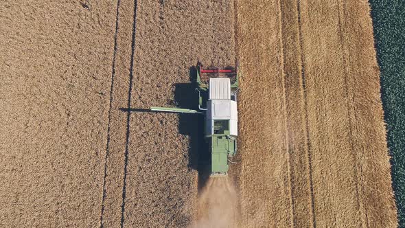 02 Green Combine Harvester Harvesting Wheat On A Field