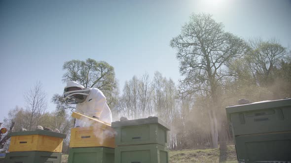 BEEKEEPING - Beekeeper smoking a hive to keep bees calm, low angle wide shot