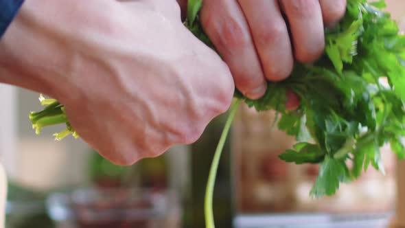 Male Hands Removing Stems from Bunch of Green Parsley