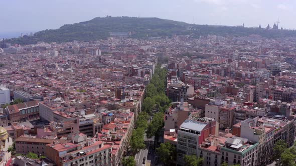 Grand Via in Barcelona a Treelined Street in the Bustling Gothic City