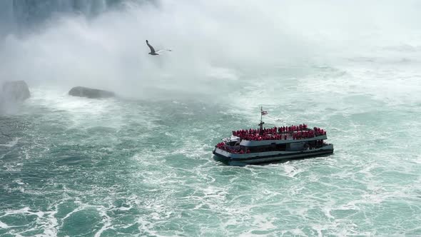 A Bird Flying Over the Maid of the Mist Cruise Boat Tour with Tourists in Red Raincoats in Basin of