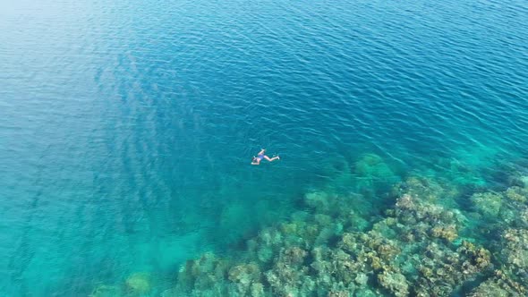 Aerial slow motion: woman snorkeling on coral reef tropical sea from above