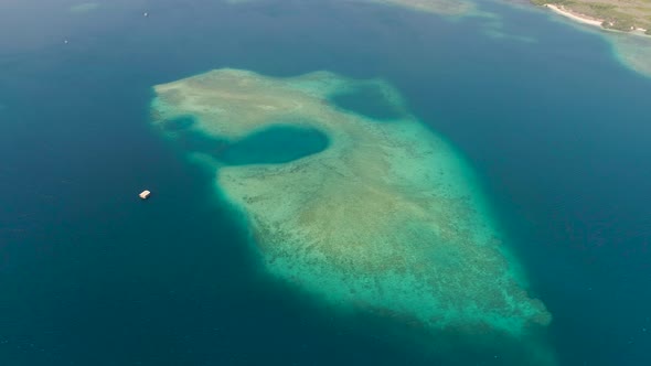 Coast and Coral Reef