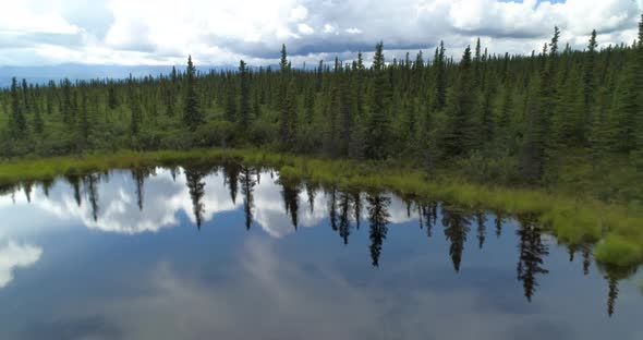 Low Drone Flight Over a Forest and Small Mirror Lake in the Mountains of Alaska in Summer