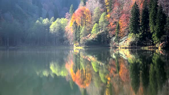 Peaceful Calm Lake in the Autumn Forest