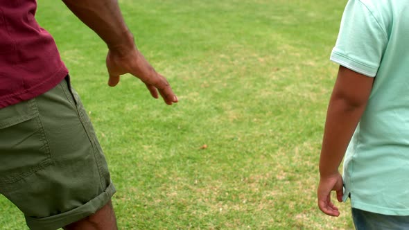 Father and son holding hands in garden