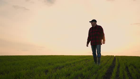 A Walking Farmer Tractor Driver in the Spring at Sunset After a Day's Work Walks on the Field in