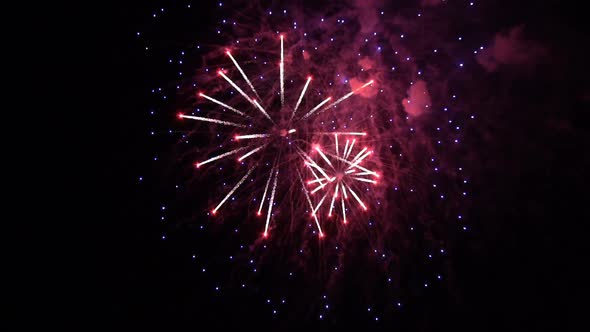 Colorful Fireworks in the Night Sky.