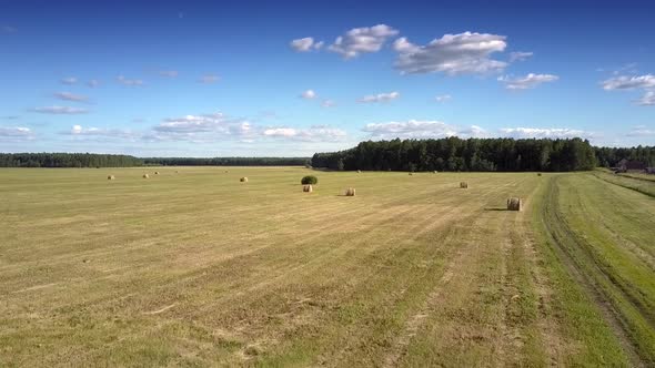 Aerial View Hay Harvested Field with Bales Against Forest