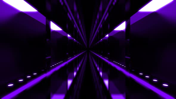 Purple Tunnel Loop alt