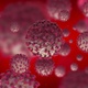 Coronavirus Microscope View Dangerous Pandemic Flu  - VideoHive Item for Sale