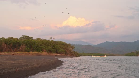 Wildlife Holiday Bird Watching Vacation on a Tourist Boat Trip Tour in Costa Rica, Black Vultures Ci