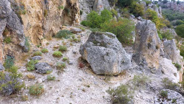 Rocks and Green Trees on Mountain Slope