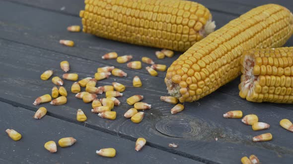 Closeup view on ready yellow corn on wooden table