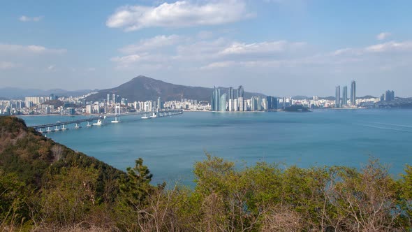 Timelapse Busan Bay with Sailing Boats Against Skyscrapers