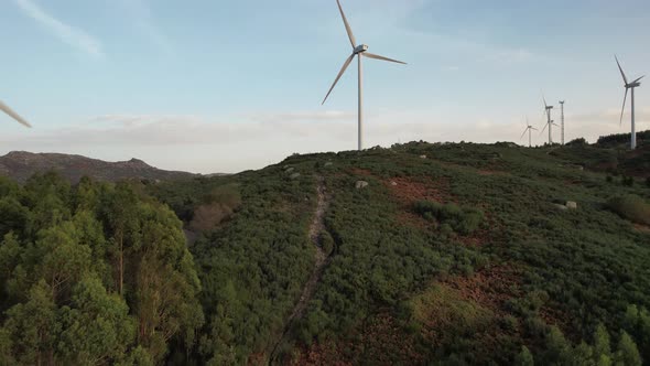 Wind turbines in rural landscape