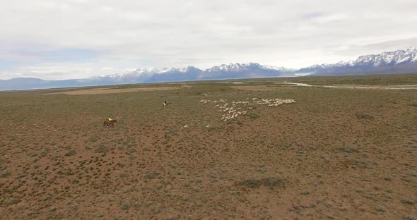 Panoramic View Over the Endless Patagonia Fields Surrounded with Mountain Range. Aerial. .