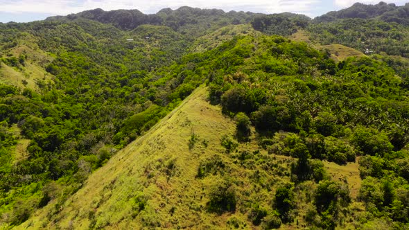 Hills and Mountains with Tropical Vegetation