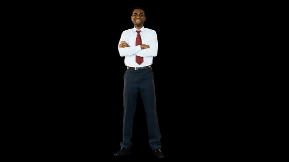 Businessman standing with arms crossed